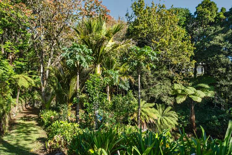 64 Cutfield Road New Plymouth Central_23