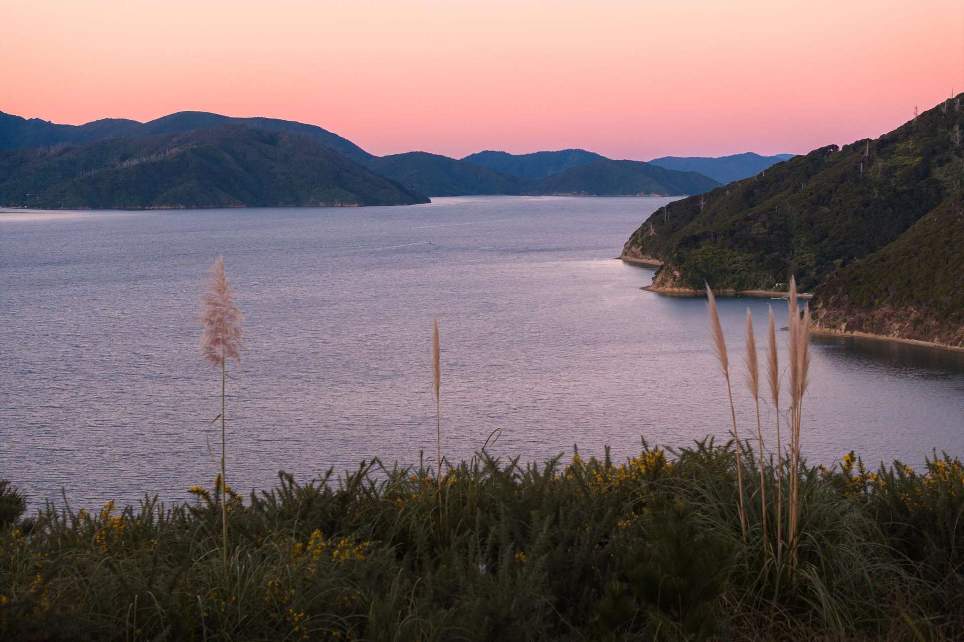 318 Port Underwood Road Waikawa_0