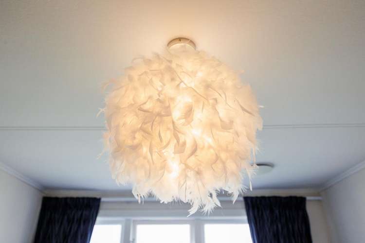 45 Godley Street Halcombe_10