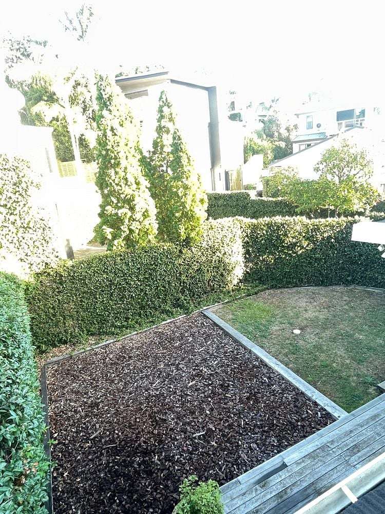 59 Southern Cross Road Kohimarama_4