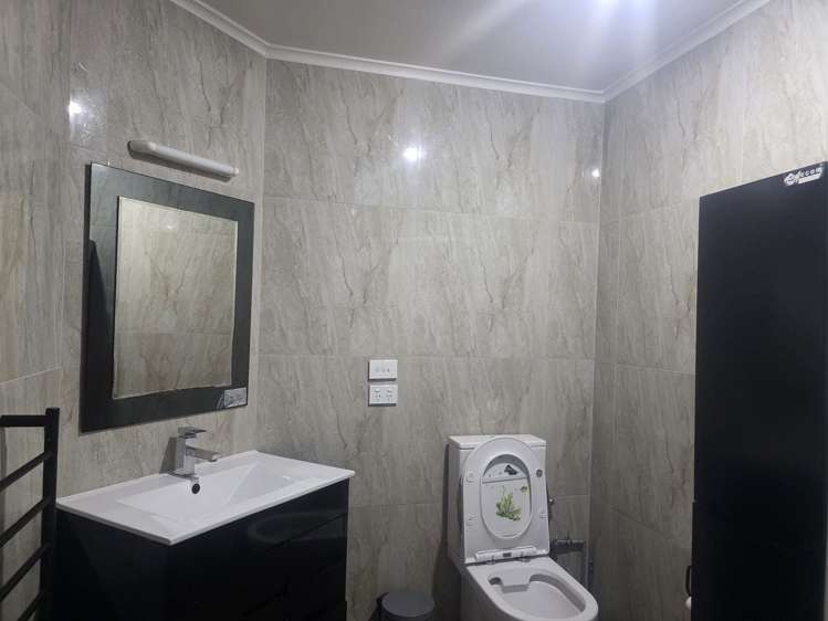 679A Hillsborough Road Mount Roskill_7