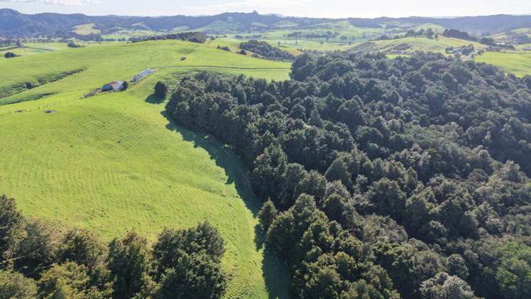 256 McIntyre Road Oromahoe_8