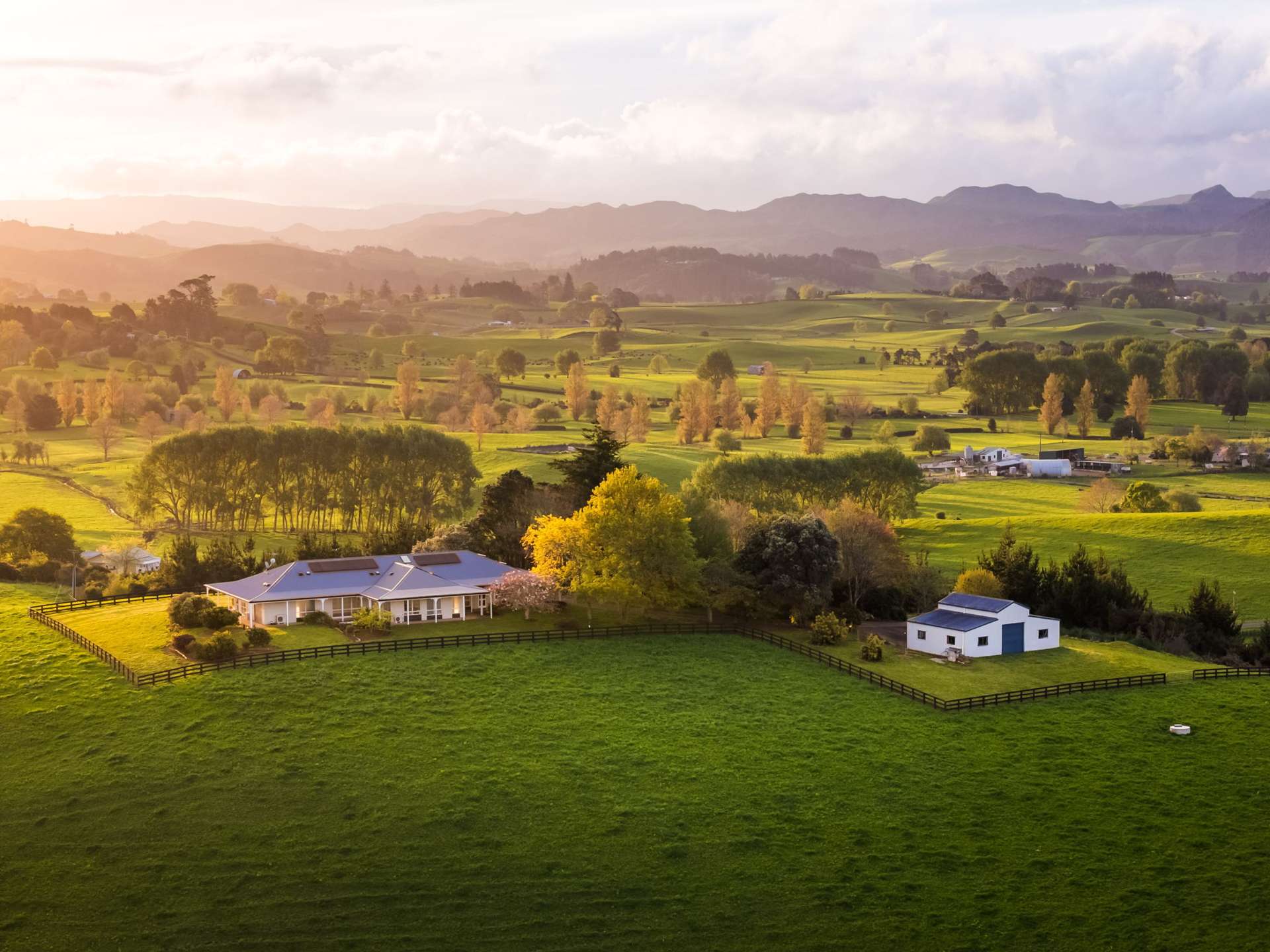 300 Grove Road Te Pahu_0