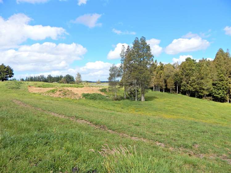 562d Waimate North Road Kerikeri_2