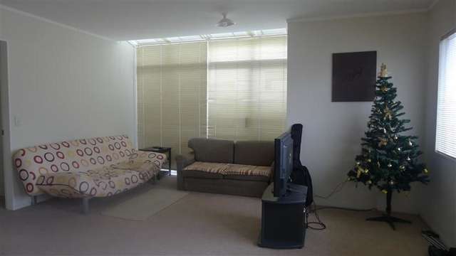 12 Macalister Place Miramar_2
