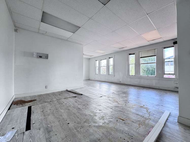 327C Dominion Road Mt Eden_1