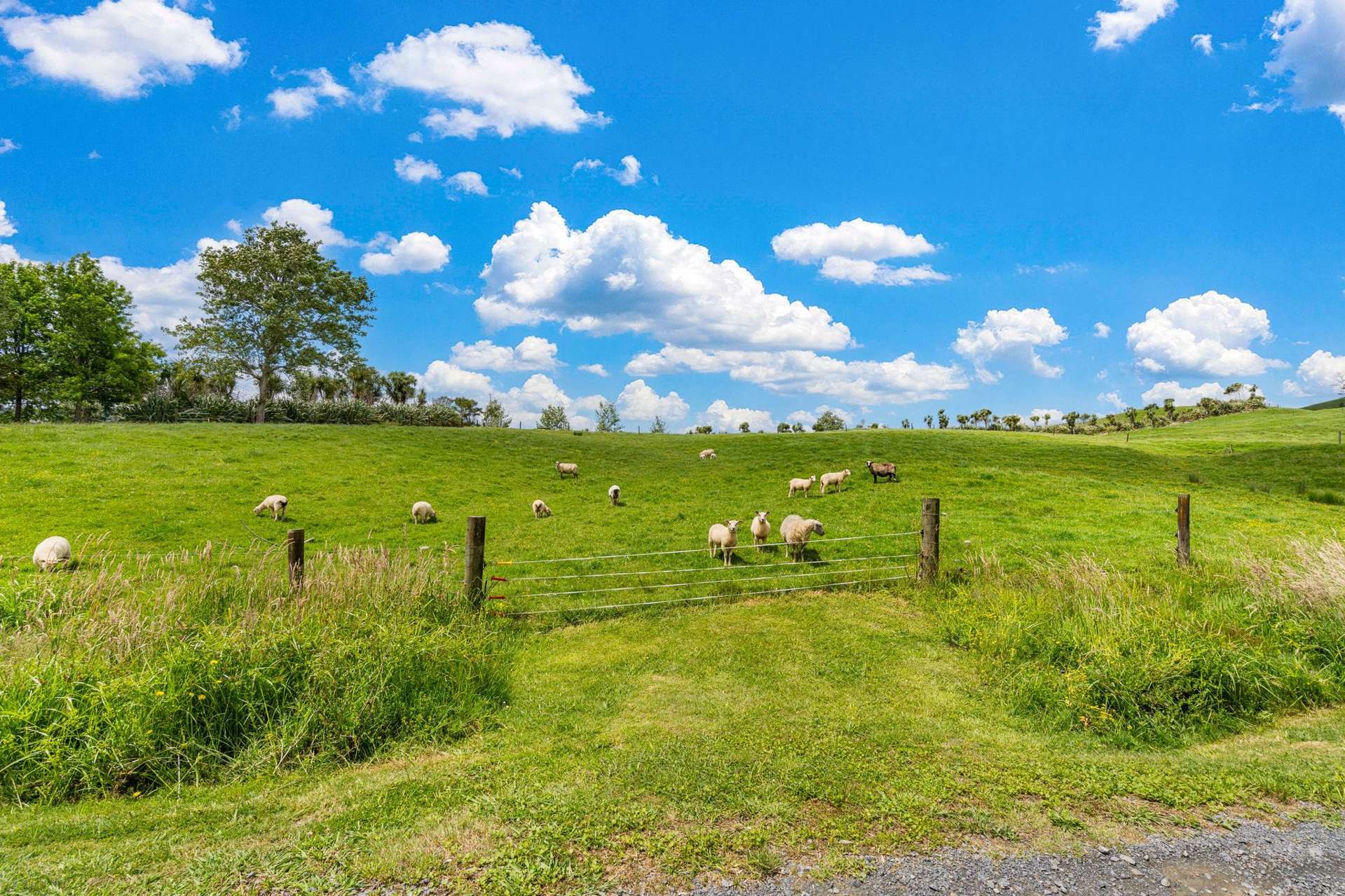 5 and 15 Charis Lane Wellsford_0