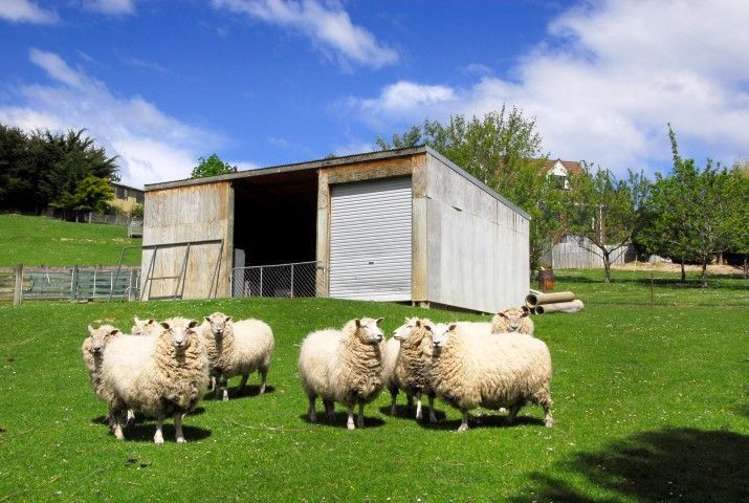 15 Friends Hill Road Mosgiel_18