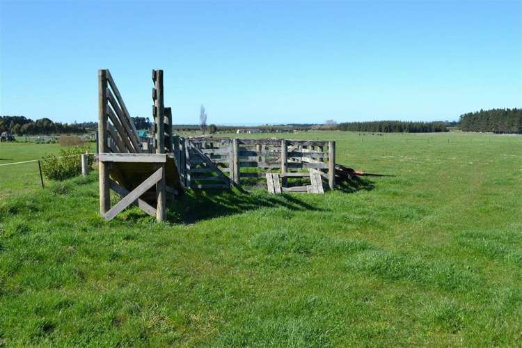 146 Double Corner Road Amberley_14