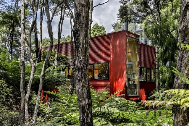 Could you live in West Auckland's multi-million-dollar 'pohutukawa tree'?