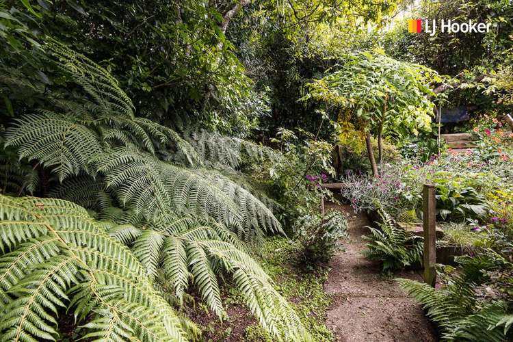 5 Broomlea Street Wakari_22