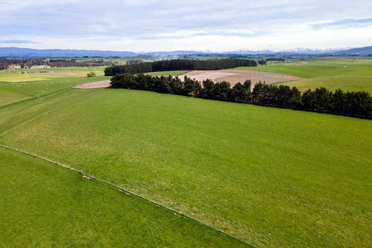 385 Earl Road Temuka_4