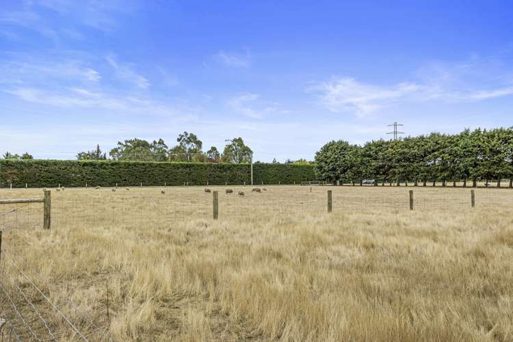 439 Johns Road Fernside_25