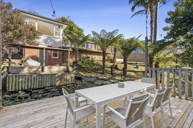 Entertainer's Delight | Kiwi Dream
