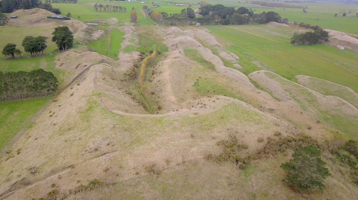 338 Foxton Shannon Road Foxton Horowhenua Rural Property For Sale