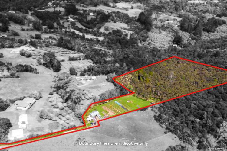 53 Arrowsmith Road Waitakere_1