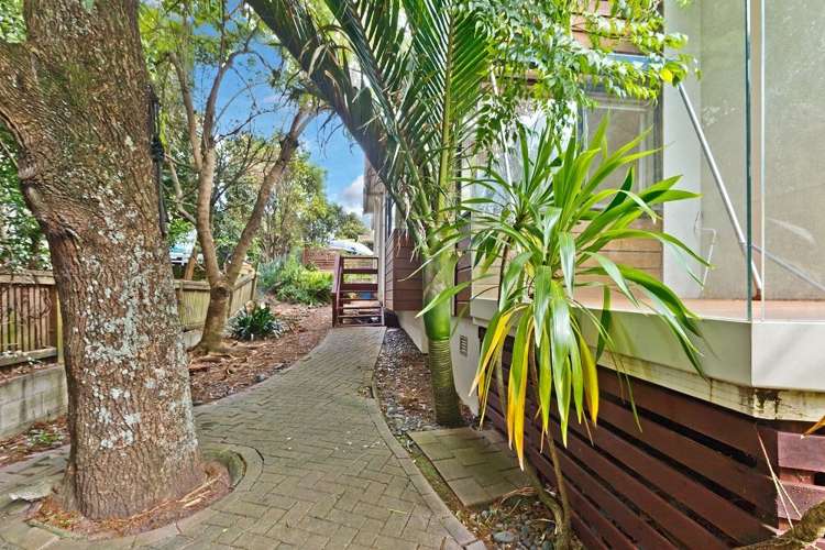 4/17 Waterloo Road Milford_18