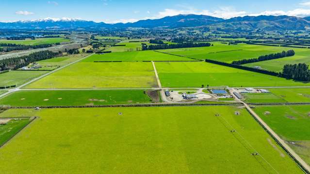 Modern Dairy Farm