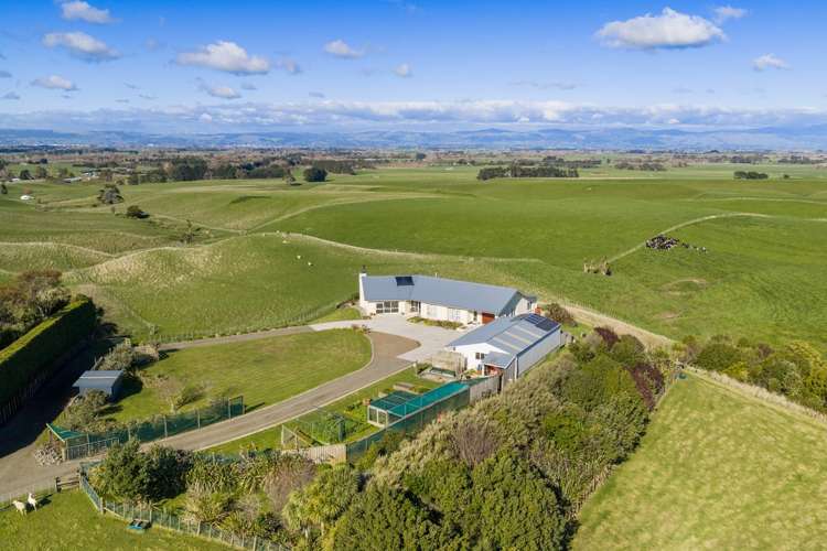 63 Sutherland Road Sanson_24