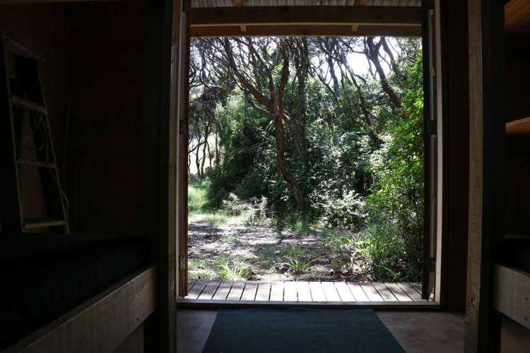 Whaanga Road Raglan_17