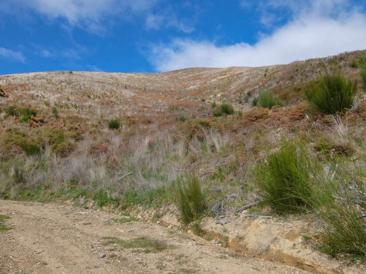 State Highway 63 Wairau Valley_17