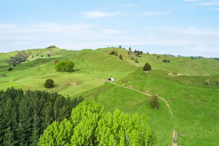 1094 Oio Road Owhango_7