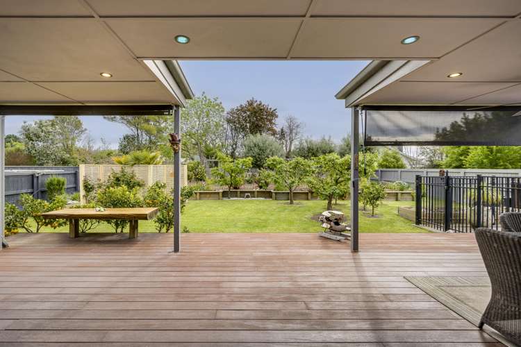 31 Napier Street Jervoistown_16