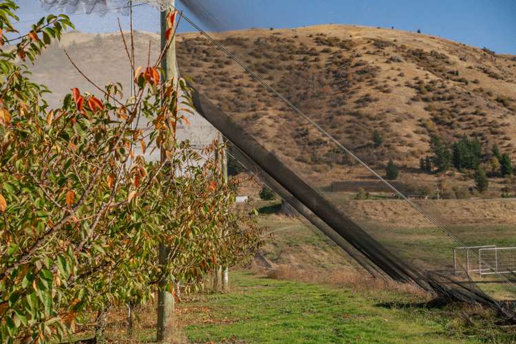 123 Ord Road Cromwell_8