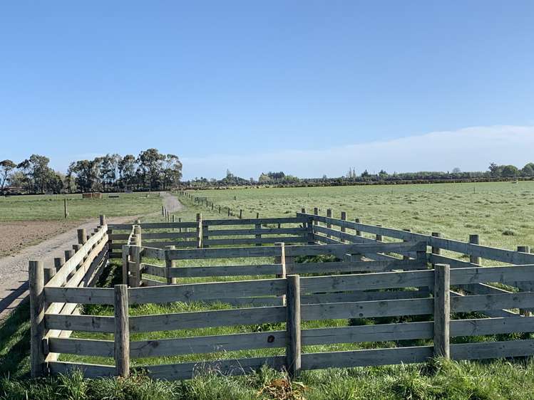 1267 Leeston Road Leeston_15