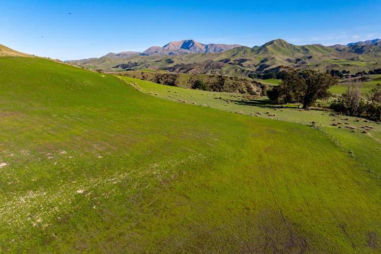 7611 State Highway 1 Ward_5