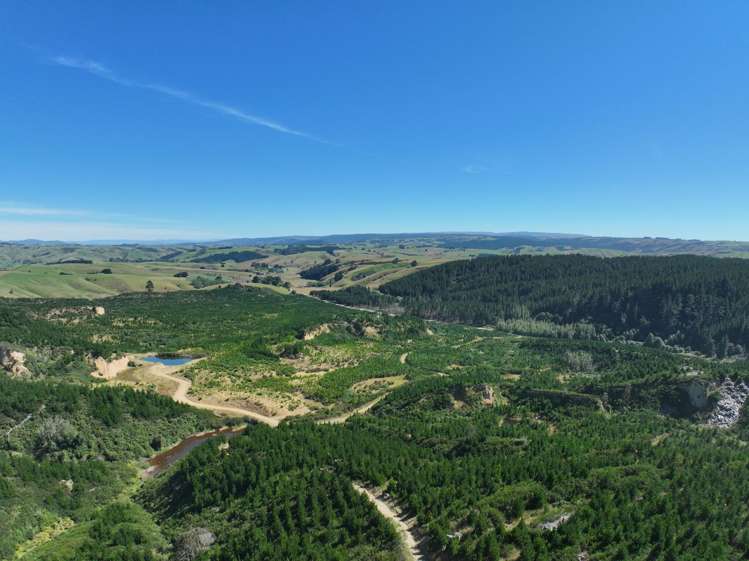 Waitahuna Gully Road Waitahuna Gully_20