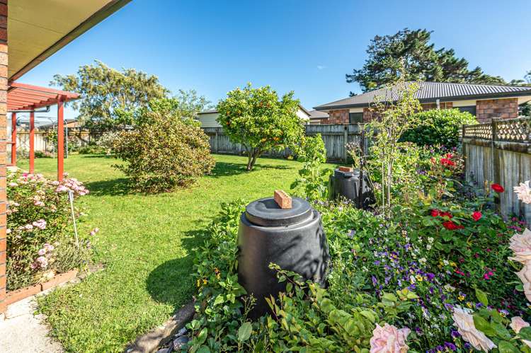 36 Kakaho Drive Tawhero_5