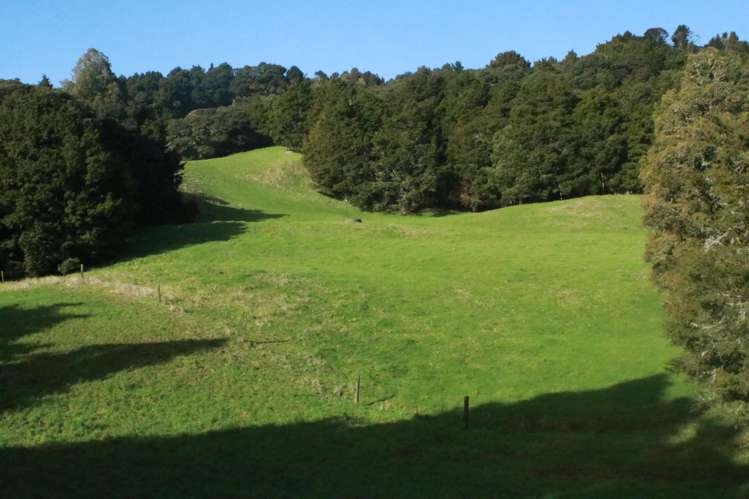 Lot 5 Pungaere Road Kerikeri_10