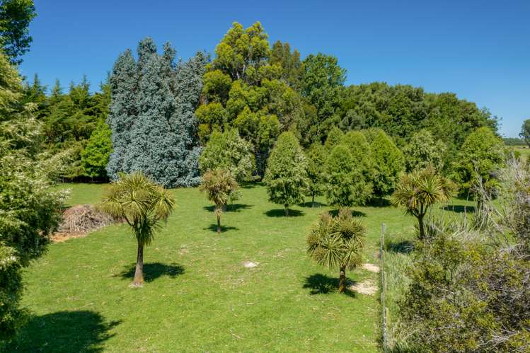 245 Hunter Road Tuamarina_22