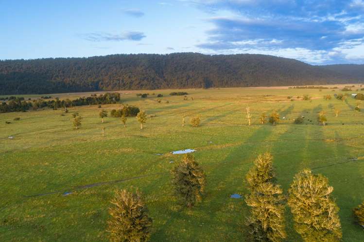 298 Cook Flat Road Fox Glacier_26
