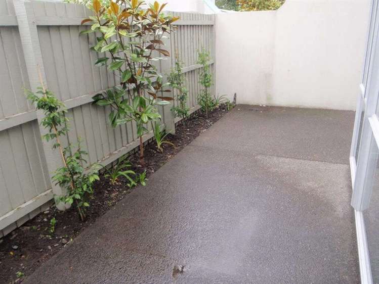 164b Strickland Street Sydenham_9