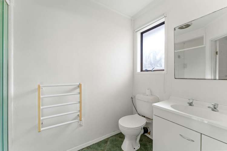 20 Pallister Drive Hillsborough_19