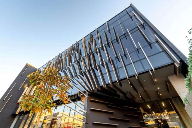 COOL GROUND FLOOR GREY LYNN OFFICE