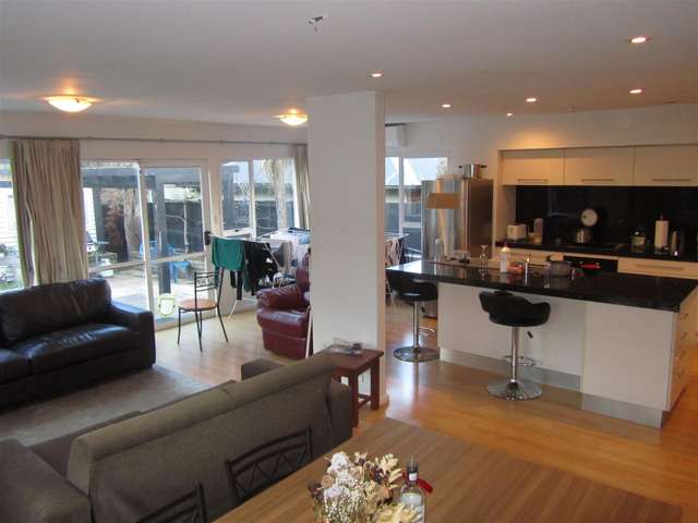 12 Wilfrid Street Ilam_1