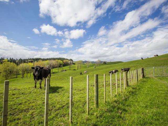 171 Girls High School Road Tangiteroria_1