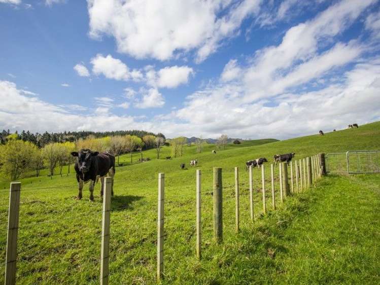 171 Girls High School Road Tangiteroria_1