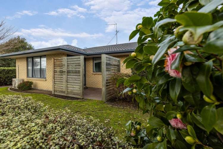 68B Muller Road Blenheim Central_13