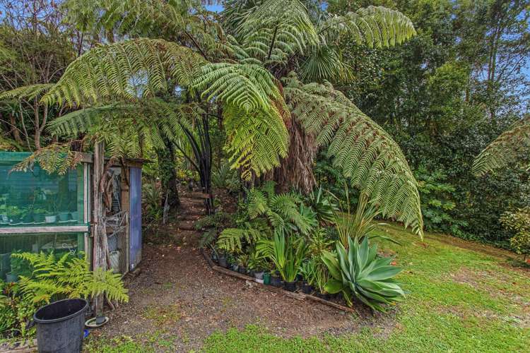 281 McCarthy Road Opotiki_7