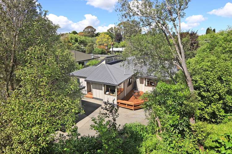 73b Joll Road Havelock North_17
