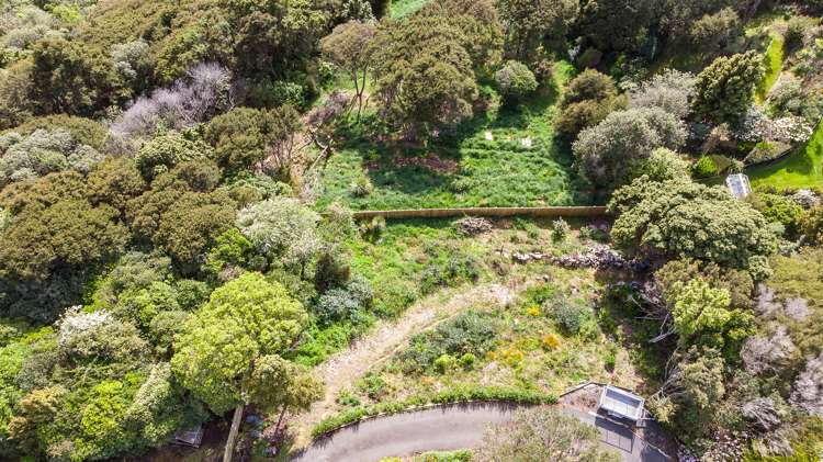 10a Hadley Close Glenleith_11