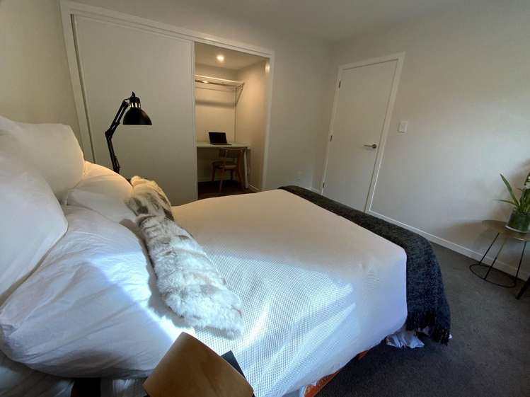 5/229 Aro Street Aro Valley_5