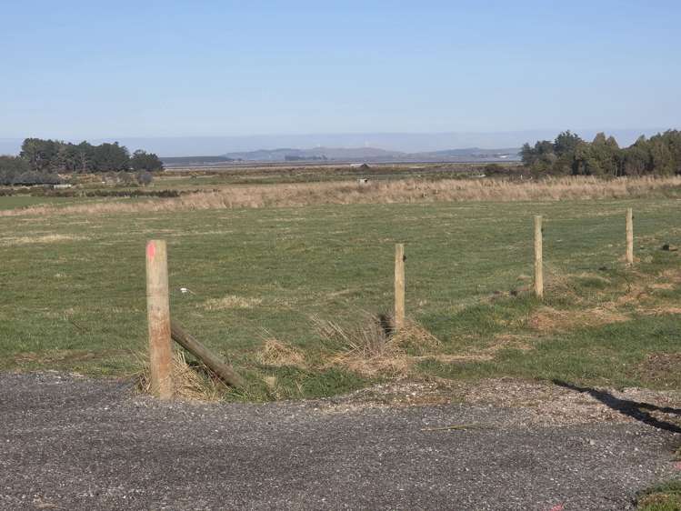 52 Ferguson Street_4