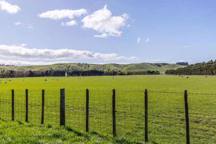 White Rock Road Martinborough_13