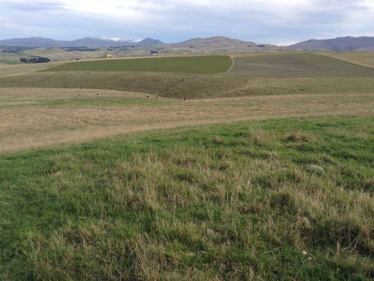 422 Earthquake Road Duntroon_5