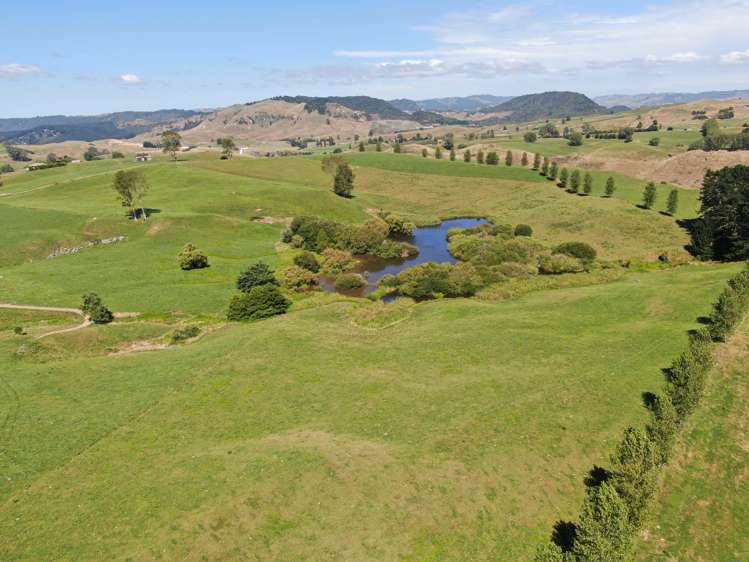 Paekaka Road Piopio_16